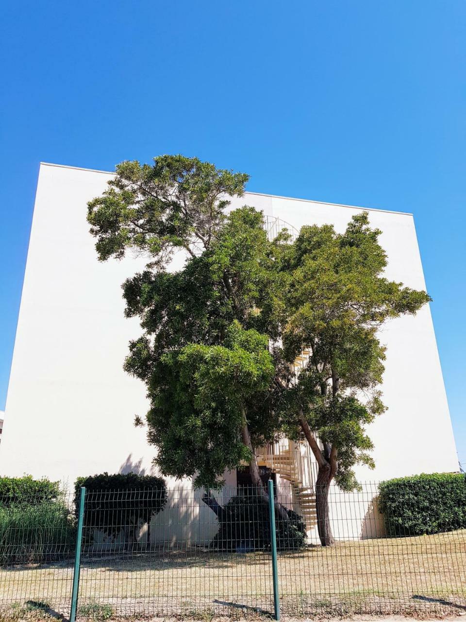 Studio Calme Avec Parking Et Ascenseur -304- Canet-en-Roussillon Exteriér fotografie