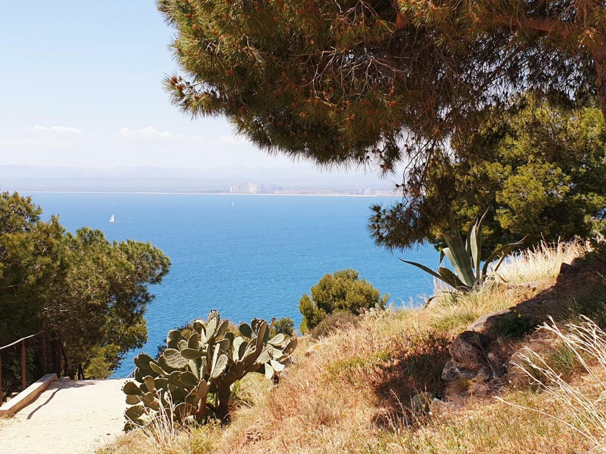 Studio Calme Avec Parking Et Ascenseur -304- Canet-en-Roussillon Exteriér fotografie